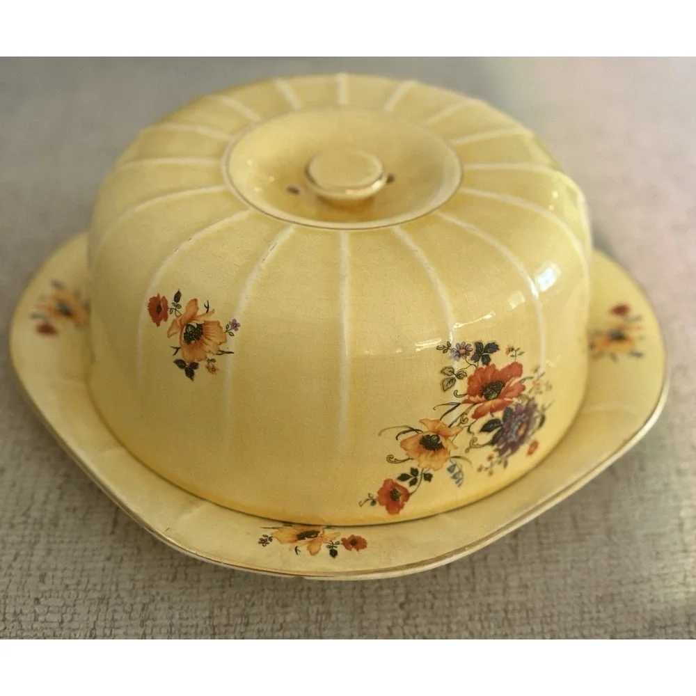 RARE Antique 1920 Limoges China Company Golden Glow Cake Plate with Cover